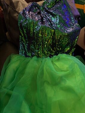 Green Sequin Bodice & Organza Skirt Party Dress  L NWOT